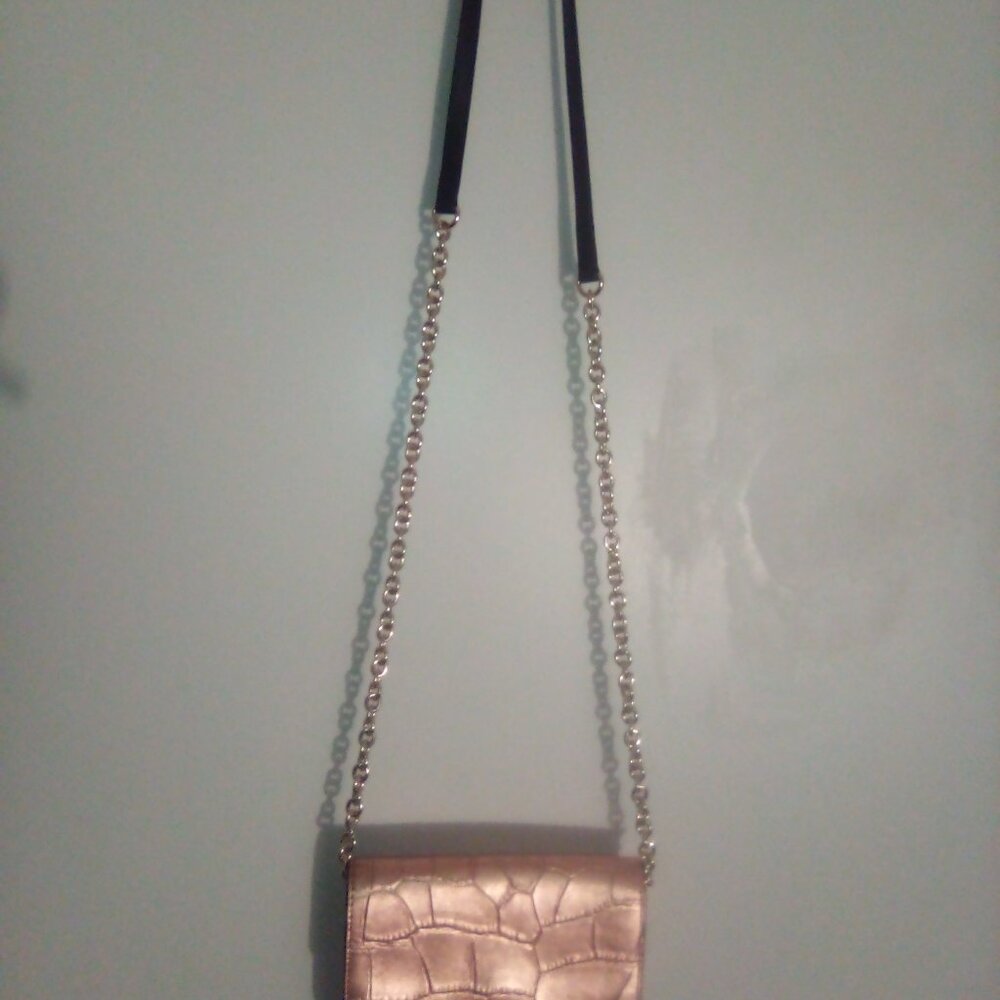 DF Snake gold mini purse W/strap